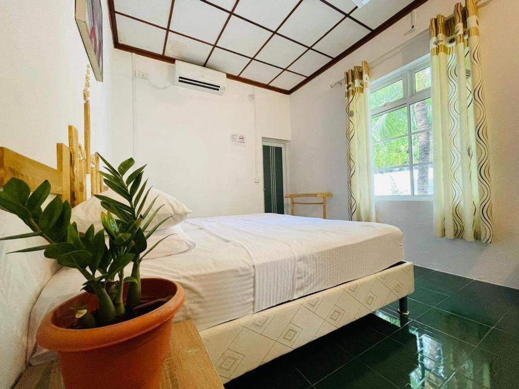 Fehendhoo Stay ภายนอก รูปภาพ